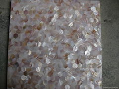Hexagon Mother of Pearl Shell Mosaic Tiles