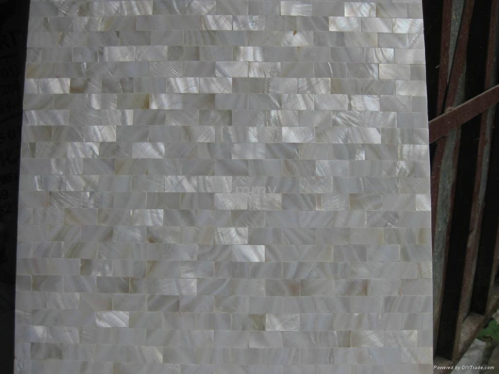 Brick River Shell Mosaic Tile 2
