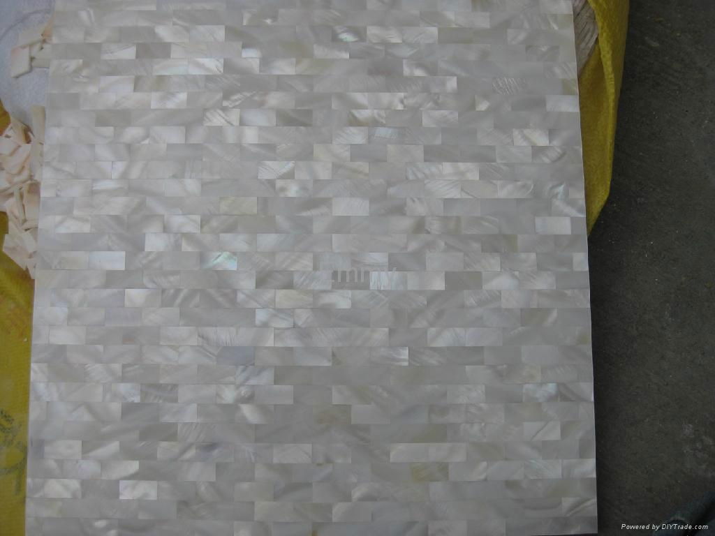 Brick River Shell Mosaic Tile 3