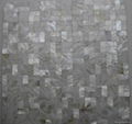 Freshwater Shell Mosaic Tiles For Wall