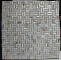 Convex Shell Mosaic Tile