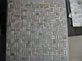 Convex Shell Mosaic Tile 2