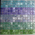 Dyed River Shell Mosaic on Mesh 2