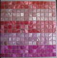 Dyed River Shell Mosaic on Mesh 3