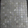 Freshwater Shell Mosaic Tile On Mesh 1