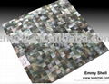 Square Black lip Mop Shell Mosaic Tile 2