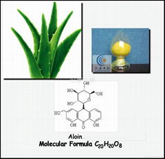 芦荟素