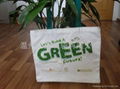 ECO-friendly non woven bag