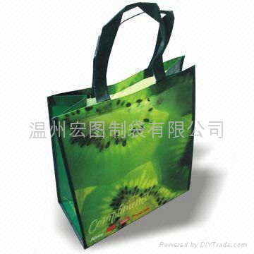 non woven gift bag 5