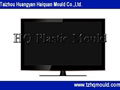 TV mould 4