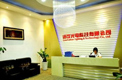 Low-Carbon Lighting&Technology Co.,Ltd