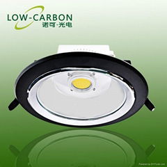 COB Led Down Light 20W