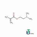 Dimethylaminoethyl Methacrylate Dmam