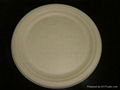 9 inch plate 1