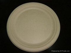 9 inch plate