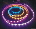 SMD5050 LED strip