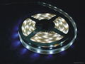 SMD5050 LED strip 4