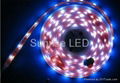 SMD5050 LED strip 5