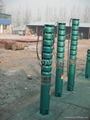 175QJ15-60 submersible electric pump 1