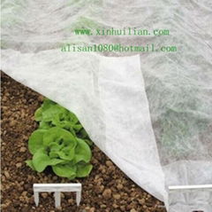 Steady quality anti-UV pp non-woven fabric