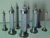 All Aluminium Alloy Conductors (AAAC) 2