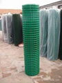 welded wire mesh(manufacturer)   1