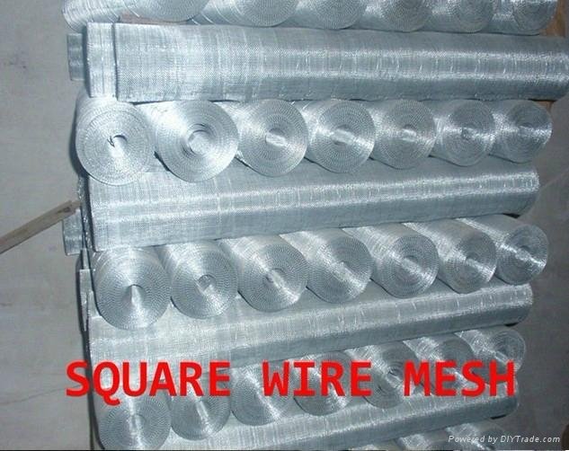 square wire mesh(manufacturer)  