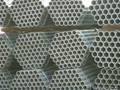 sell hot dipped galvanized pipe