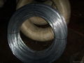 electro galvanized iron wire (manufacturer) 1