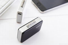 iPhone portable battery charger