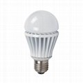 LED Bulb 1