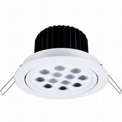 LED Down Light