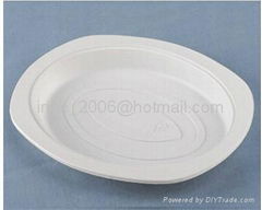 disposable food container