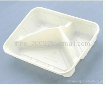 disposable food container 3