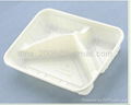 disposable food container 3