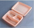 Disposable bento box