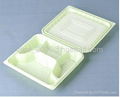 Disposable bento box 5