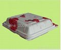 Food packing container  2
