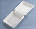 Food packing container  5