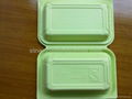 Disposable microwaveable lunch box 2