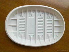 Disposable vegetable plates and trays