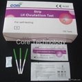  LH Ovulation Rapid Test  2