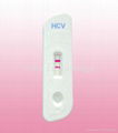 HCV----Hepatitis C Virus Rapid Test