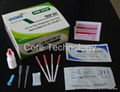 One step TP Anti-Syphilis Rapid Test 1