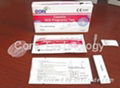 HCG Pregnancy Test Cassette  1