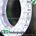 12V 5050 60 LEDs IP65 white LED flexible strip  1