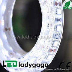 12V 5050 60 LEDs IP65 white LED flexible strip 