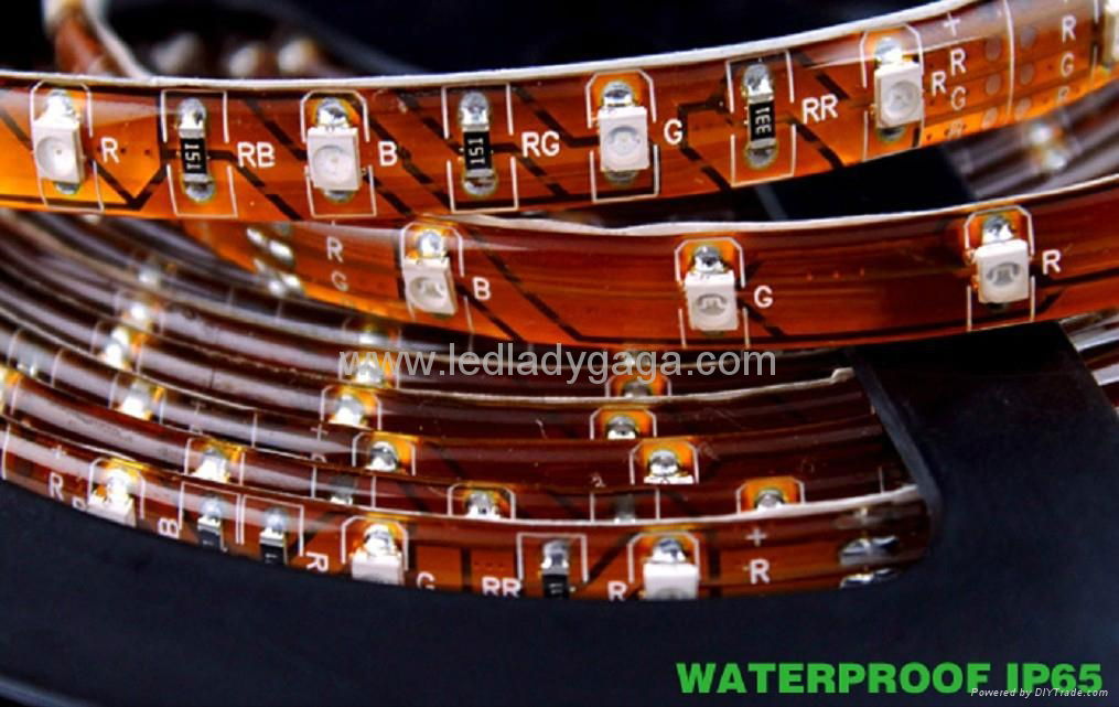 12V 5050 60 LEDs IP65 white LED flexible strip  2