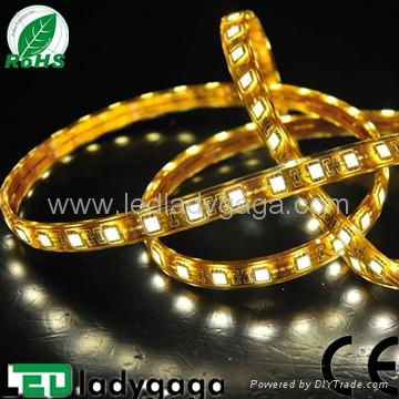 12V 5050 60 LEDs IP65 white LED flexible strip  3