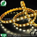 12V 5050 60 LEDs IP65 white LED flexible strip  3